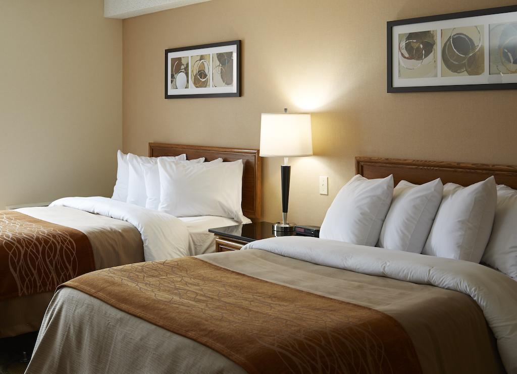 Inn Comfort Airport 3*