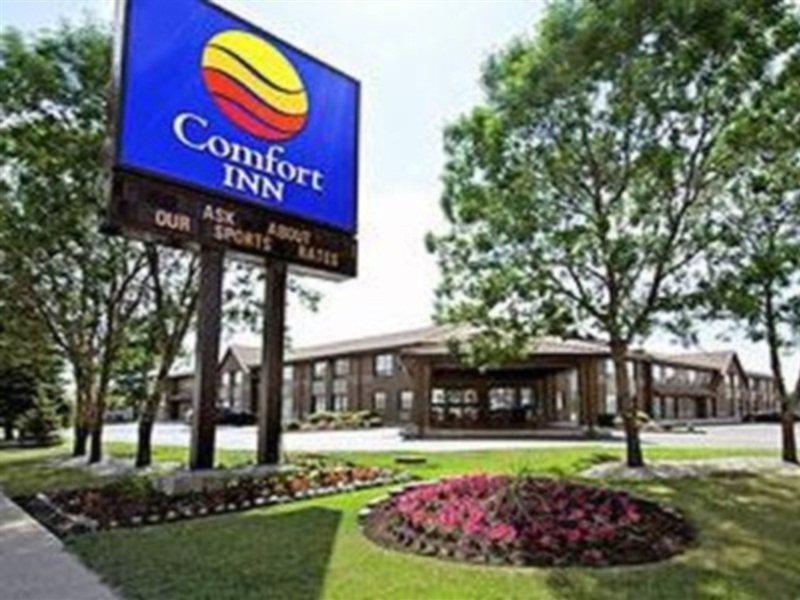 Comfort Airport